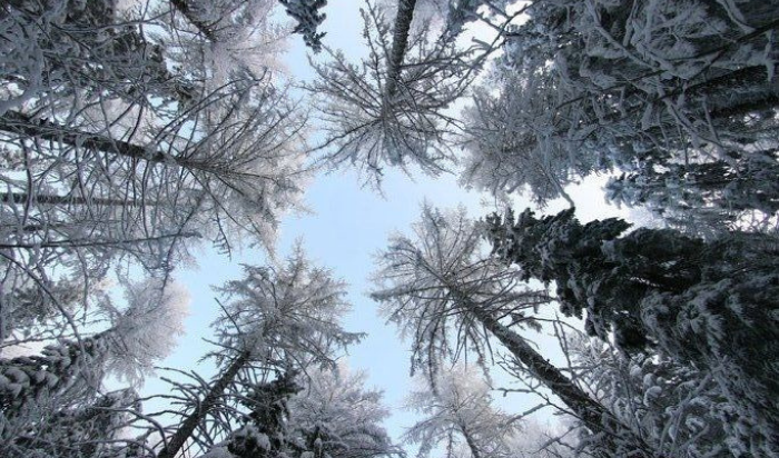 L’hiver : une saison exigeante pour l’organisme