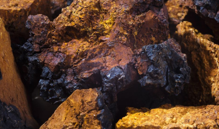 Le chaga m’aidera-t-il à perdre du poids ?