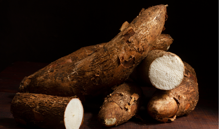Ashwagandha : la plante clé contre le stress cognitif